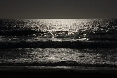 DSC_7017 (Large).JPG